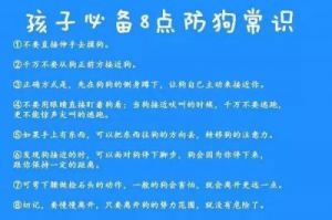 如何有效地防止狗狗乱咬东西