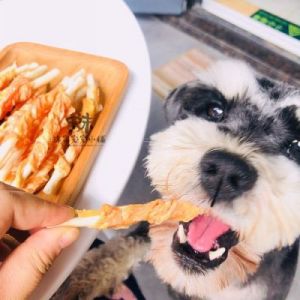 适合不同需求的狗狗食谱：美味鸡胸肉做法推荐