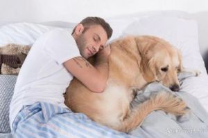 狗狗长时间睡眠异常的原因及解决方法