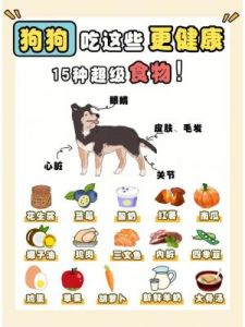 玉米面食谱：为爱宠狗狗健康美味的三种做法