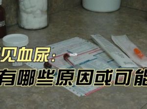 狗狗血尿的原因及诊断方法