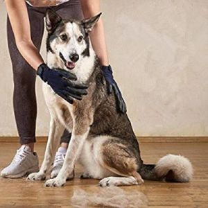 如何让狗狗感到舒适的触摸方式