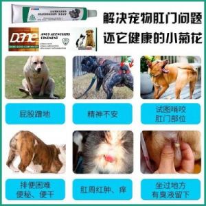 狗狗肛门发炎的解决方法与预防措施