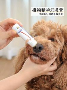 狗狗鼻子干裂的常见原因及预防和治疗方法