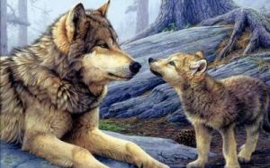 在夜晚的森林里，狼看见狗时会感到害怕，因为狗是人类的朋友和保护者