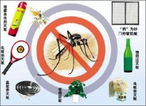 在户外活动时，如何有效地驱赶蚊子，保护我们的宠物狗？