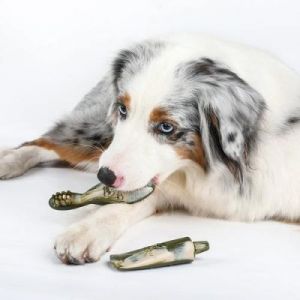 狗狗洁牙棒的使用方法及注意事项