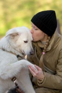 在人类与狗的亲近关系中，探讨狗为何与人类如此亲密的原因