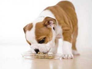 当狗狗误食了香肠皮时，我们应该如何处理？