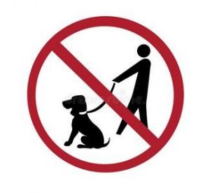 西安因什么原因实行禁止遛狗政策