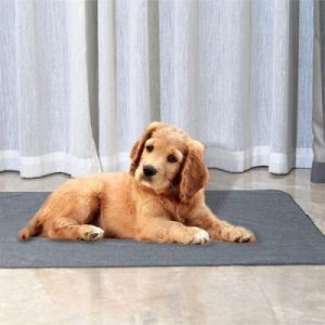 狗狗尿沙发如何快速有效地清洗