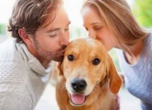 在人类与狗的互动中，狗表现出友善的原因有很多，这些原因包括：
